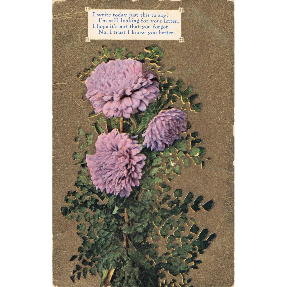 Vintage Floral Postcard Purple Chrysanthemums Gold Series No 68 1 Cent Stamp - Picture 1 of 2